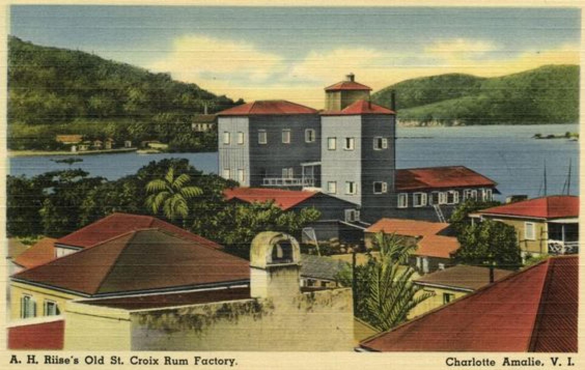 TBRA Brand Winner - Old St. Croix Spirits ApS  information 5