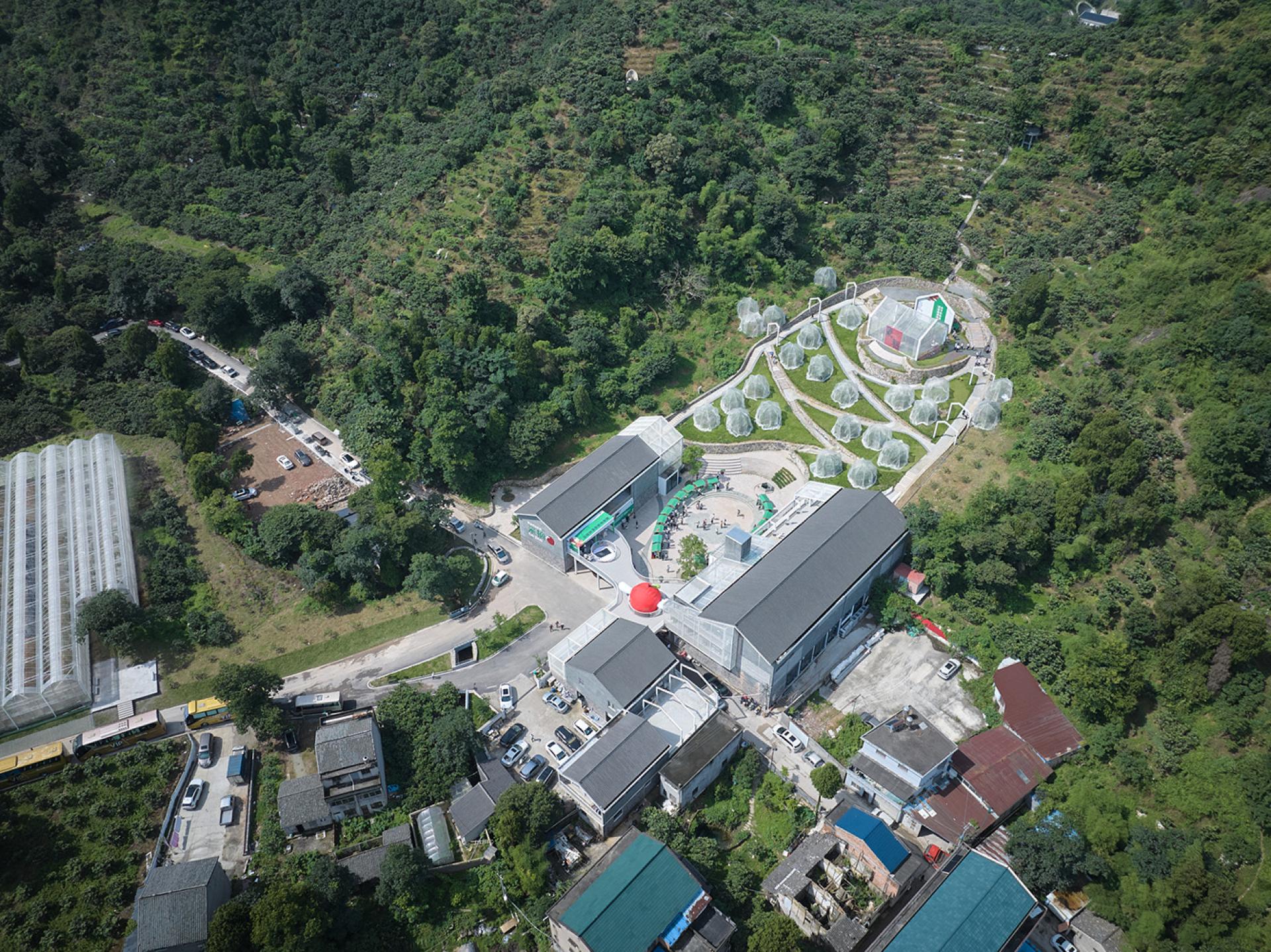 TBRA Brand Winner - ArchiDogs information 4