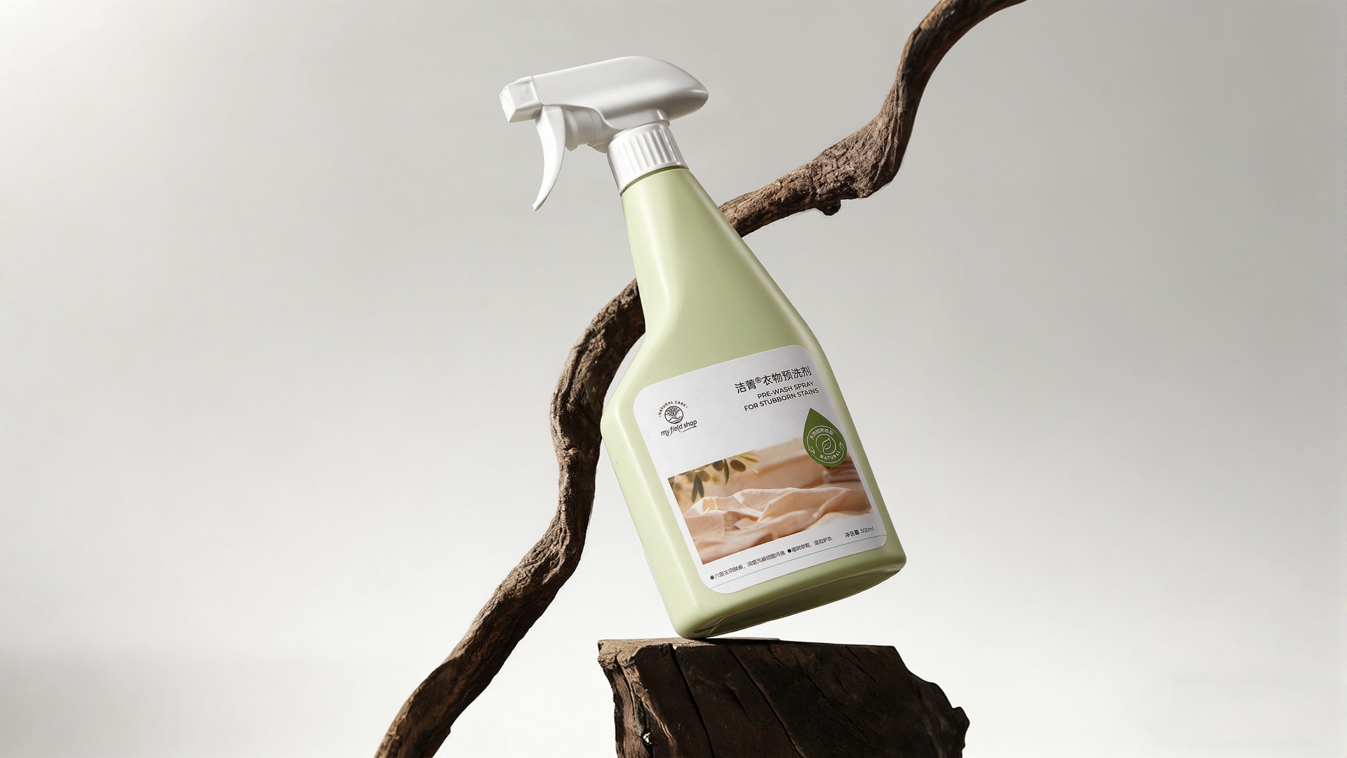 TBRA Brand Winner - HONG KONG HUAXING HOLDINGS LIMITED information 9