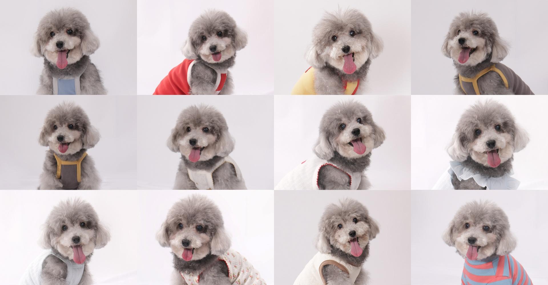 TBRA Brand Winner - Luluvia LLC information 10