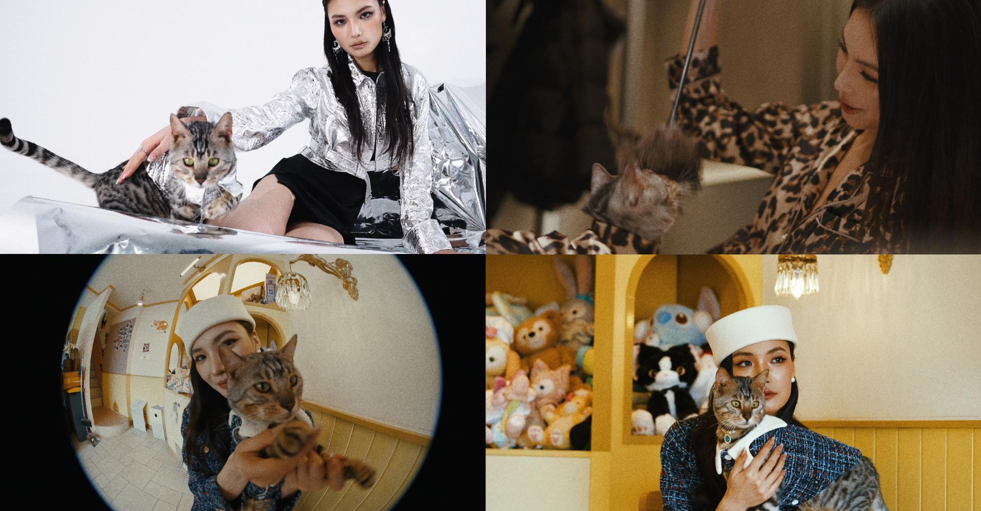 TBRA Brand Winner - Luluvia LLC information 8