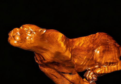 Titan Brand Winner - Chunhu Wei / Sichuan Hemu Culture Communication Co., Ltd.