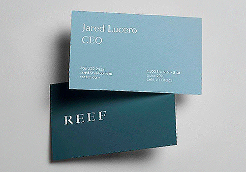 Titan Brand Winner - Reef Capital Partners Rebrand by WANT Branding