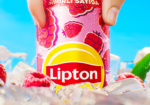 Titan Brand Awards Winner - Chuck Studios