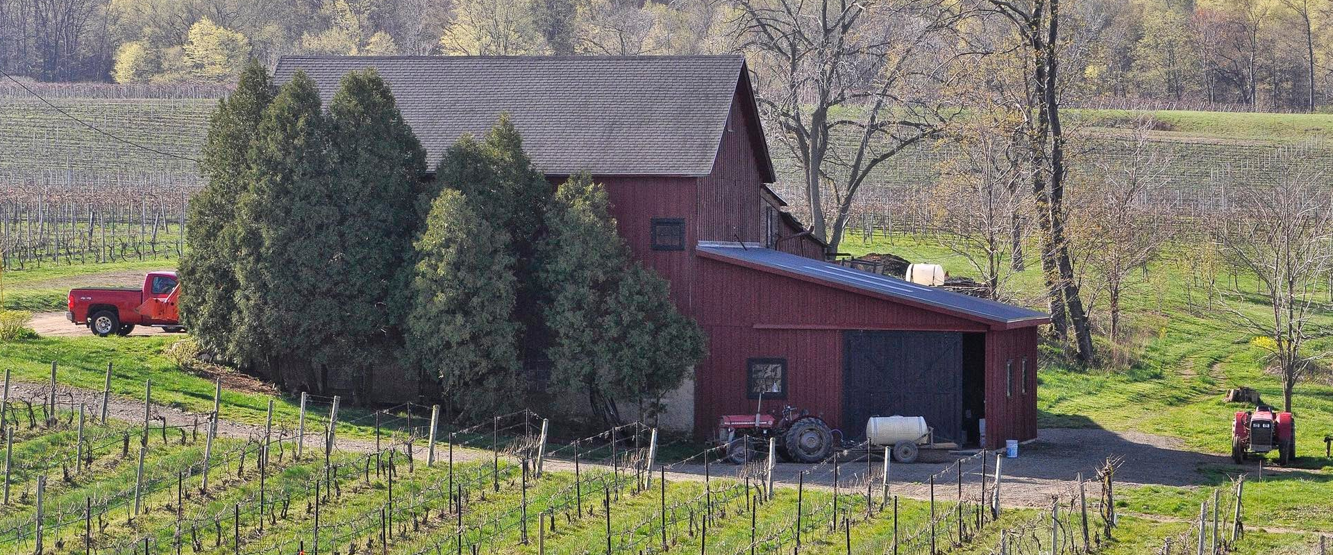 Brand Awards Winner -  Background