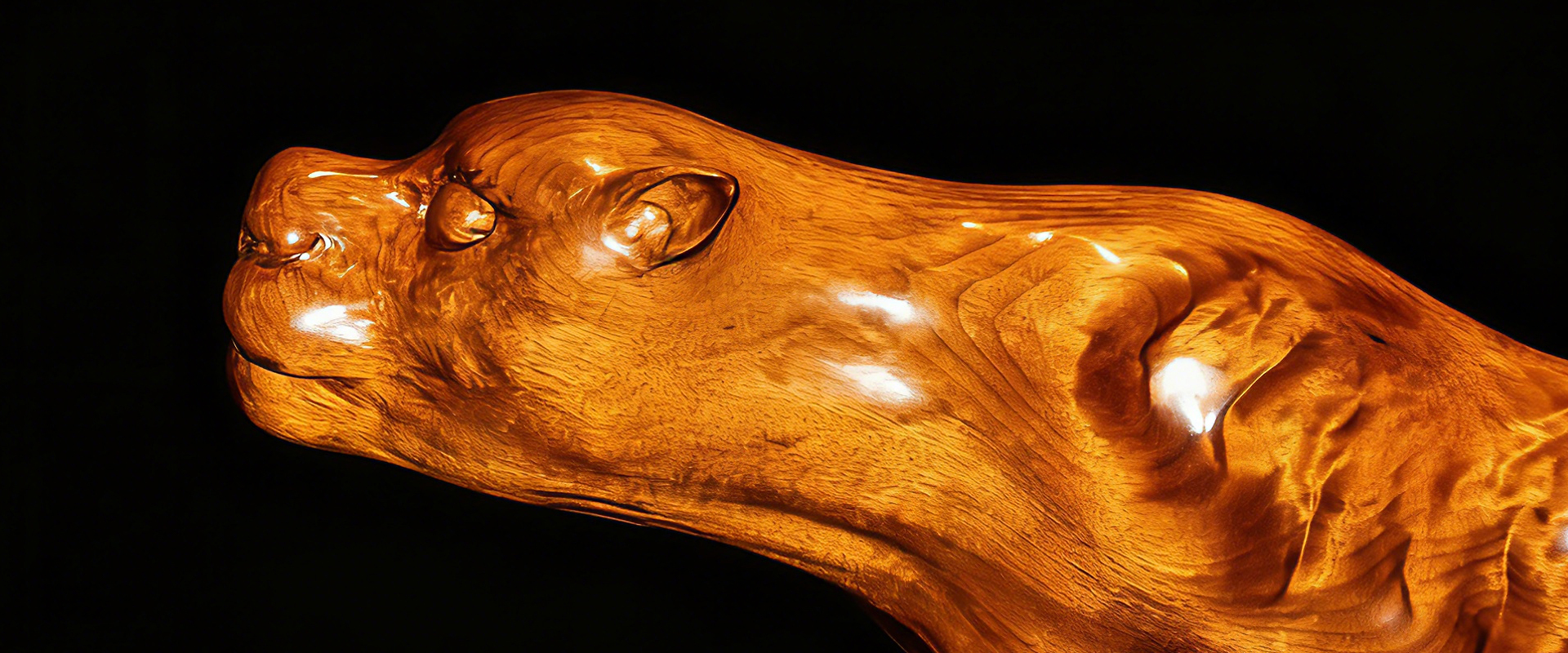 Brand Awards Winner -  Background