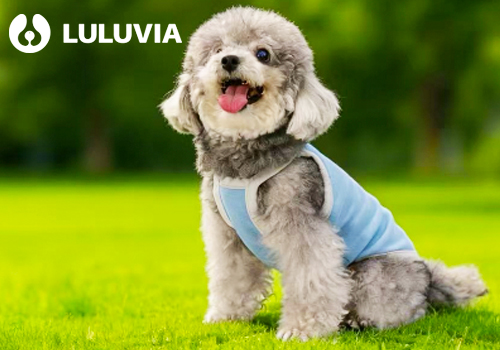 Titan Brand Winner - Luluvia LLC