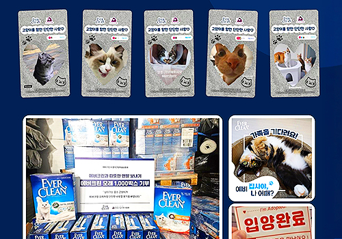 Titan Brand Winner - SCAT Communication (client : EverClean)