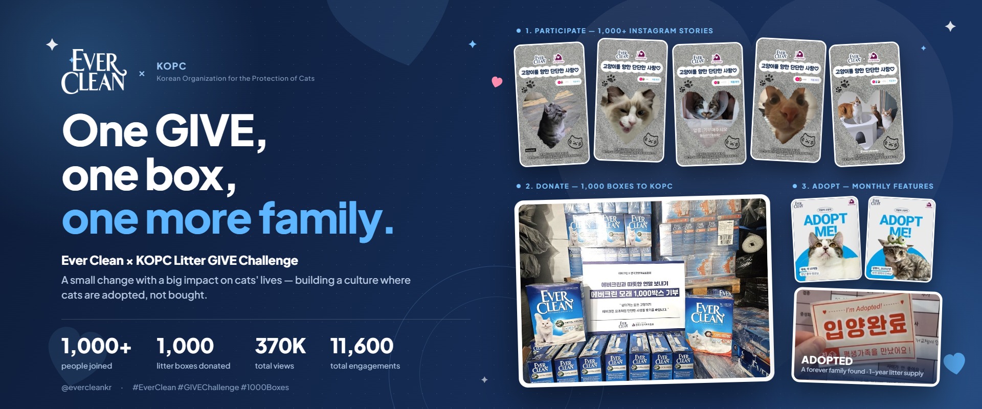 Brand Awards Winner -  Background